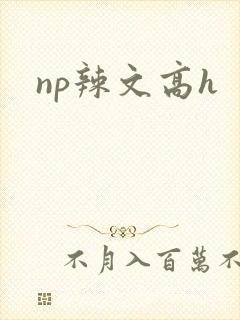 np辣文高h