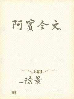 阿宾全文