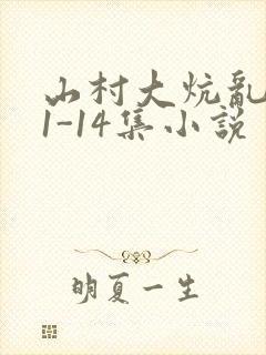 山村大炕乱肉续1-14集小说