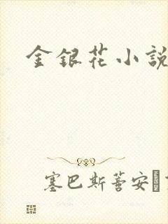 金银花小说乐可