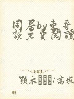 同居by东哥小说免费阅读全文无弹窗