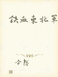 铁血东北军
