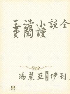 王浩小说全文免费阅读