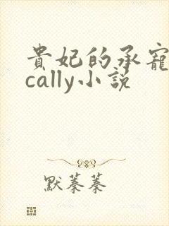 贵妃的承宠日常cally小说