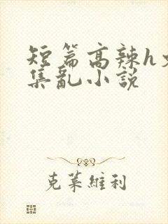 短篇高辣h文合集乱小说