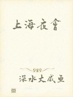 上海夜会