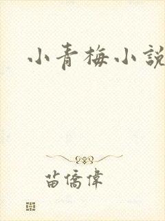 小青梅小说