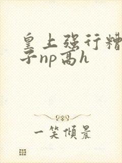 皇上强行糟蹋太子np高h