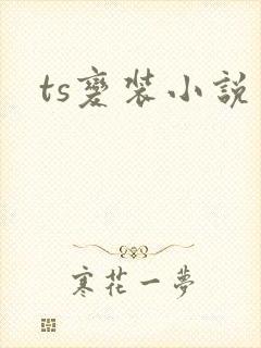 ts变装小说