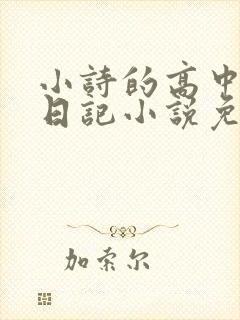 小诗的高中成长日记小说免费阅读