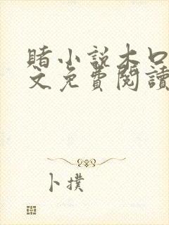 赌小说木口银全文免费阅读笔趣阁