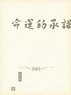 命运的承诺