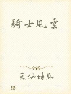 骑士风云
