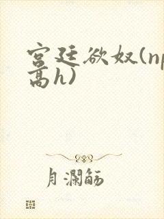 宫廷欲奴(np高h)