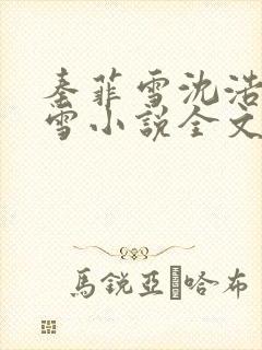 秦菲雪沈浩秦菲雪小说全文免费阅读求书