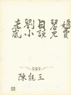 老刘日儿媳妇张岚小说免费阅读