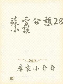 苏雪公憩28篇小说