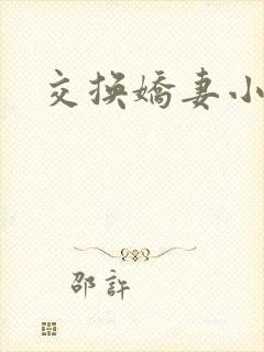 交换娇妻小说