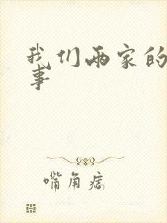 我们两家的荒唐事