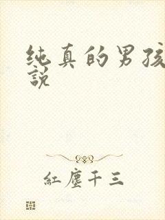 纯真的男孩子小说