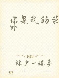 你是我的荣耀番外