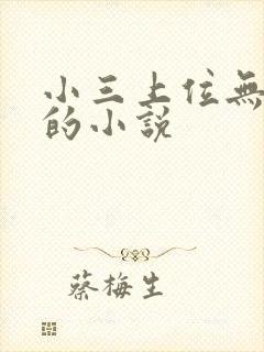 小三上位无三观的小说