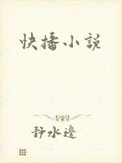 快播小说