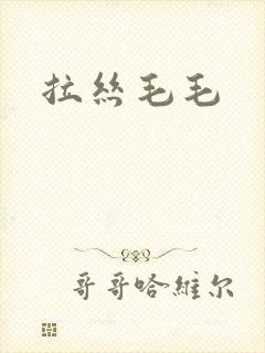 拉丝毛毛