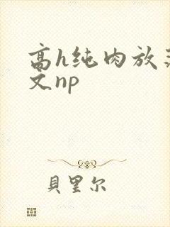 高h纯肉放荡h文np