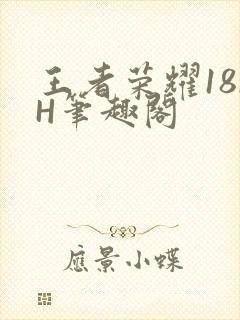 王者荣耀18rH笔趣阁