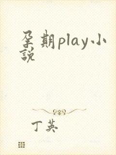 孕期play小说