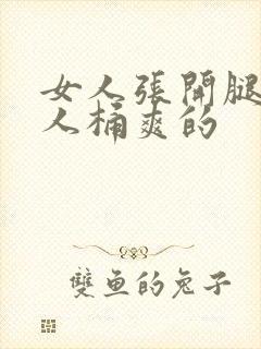 女人张开腿让男人桶爽的