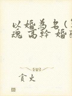 以婚为名 (军魂 高干 婚恋)