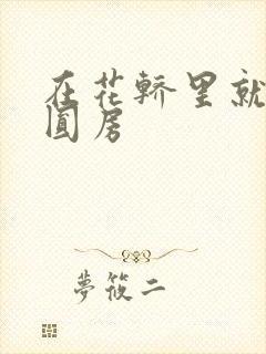 在花轿里就开始圆房