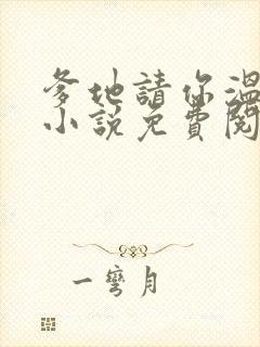 爹地请你温柔点小说免费阅读