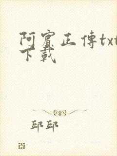 阿宾正传txt下载