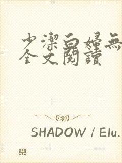 少洁白妇无删减全文阅读