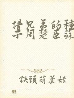 借兄弟的种生孩子周楚臣苏糖