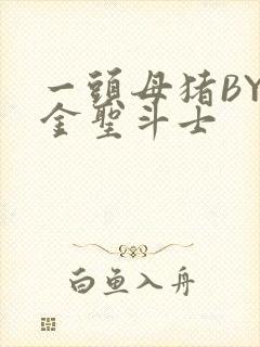 一头母猪BY黄金圣斗士