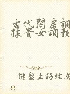 古代闺房调教h揉贵女调教记