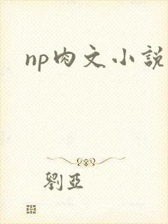 np肉文小说
