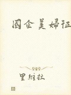 国企美妇征途