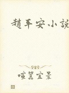 赵平安小说主角