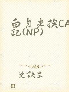 白月光挨CAO记(NP)