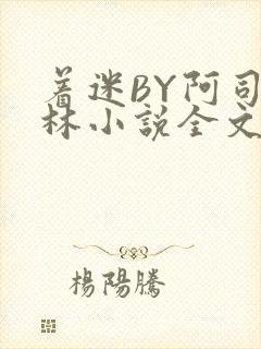 着迷BY阿司匹林小说全文免费阅读