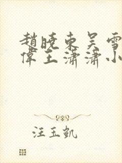 赵晓东吴雪晴郑伟王潇潇小说名字