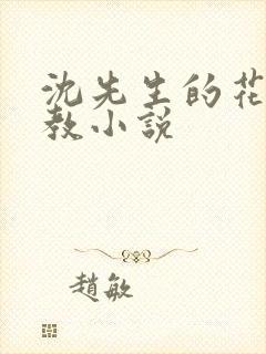 沈先生的花式管教小说