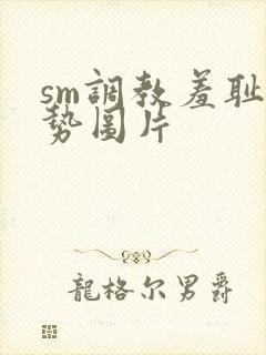 sm调教羞耻姿势图片