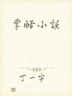 掌酷小说