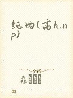纯肉(高h.np)